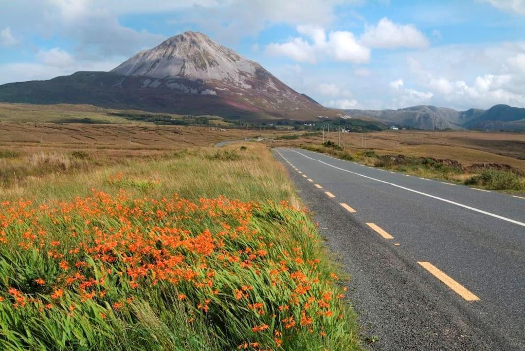 The Cosy Farm Cottage, Donegal Inver エクステリア 写真