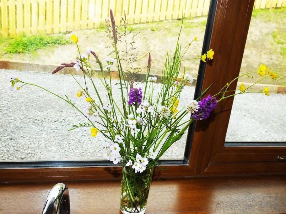 The Cosy Farm Cottage, Donegal Inver エクステリア 写真