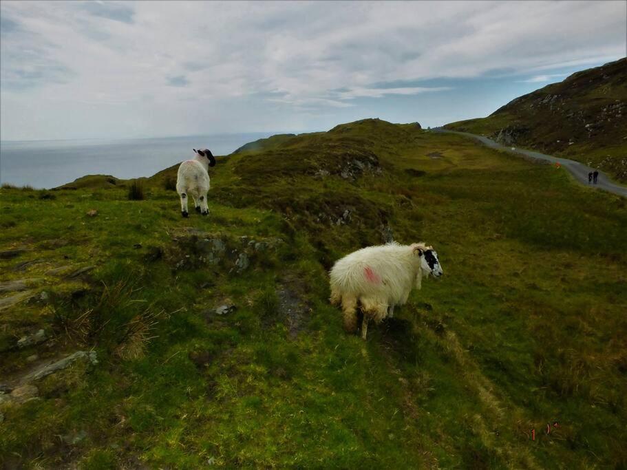 The Cosy Farm Cottage, Donegal Inver エクステリア 写真