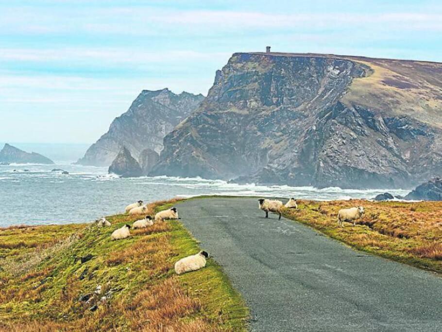 The Cosy Farm Cottage, Donegal Inver エクステリア 写真